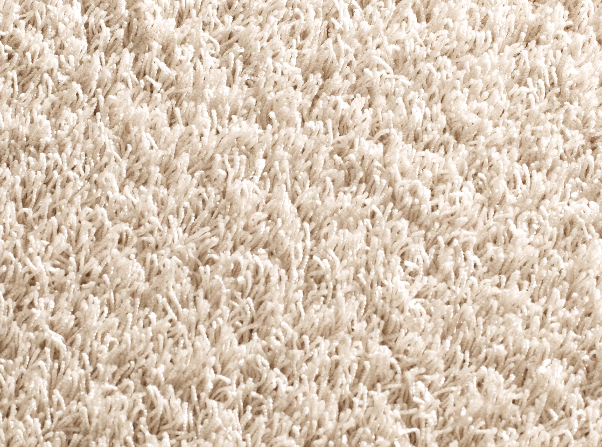 Curly SD 3788/072