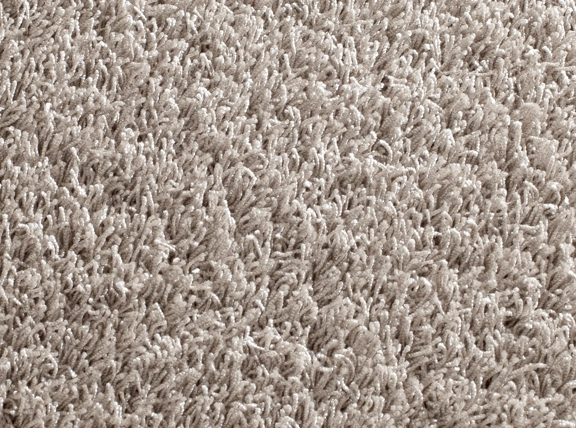 Curly SD 3788/171