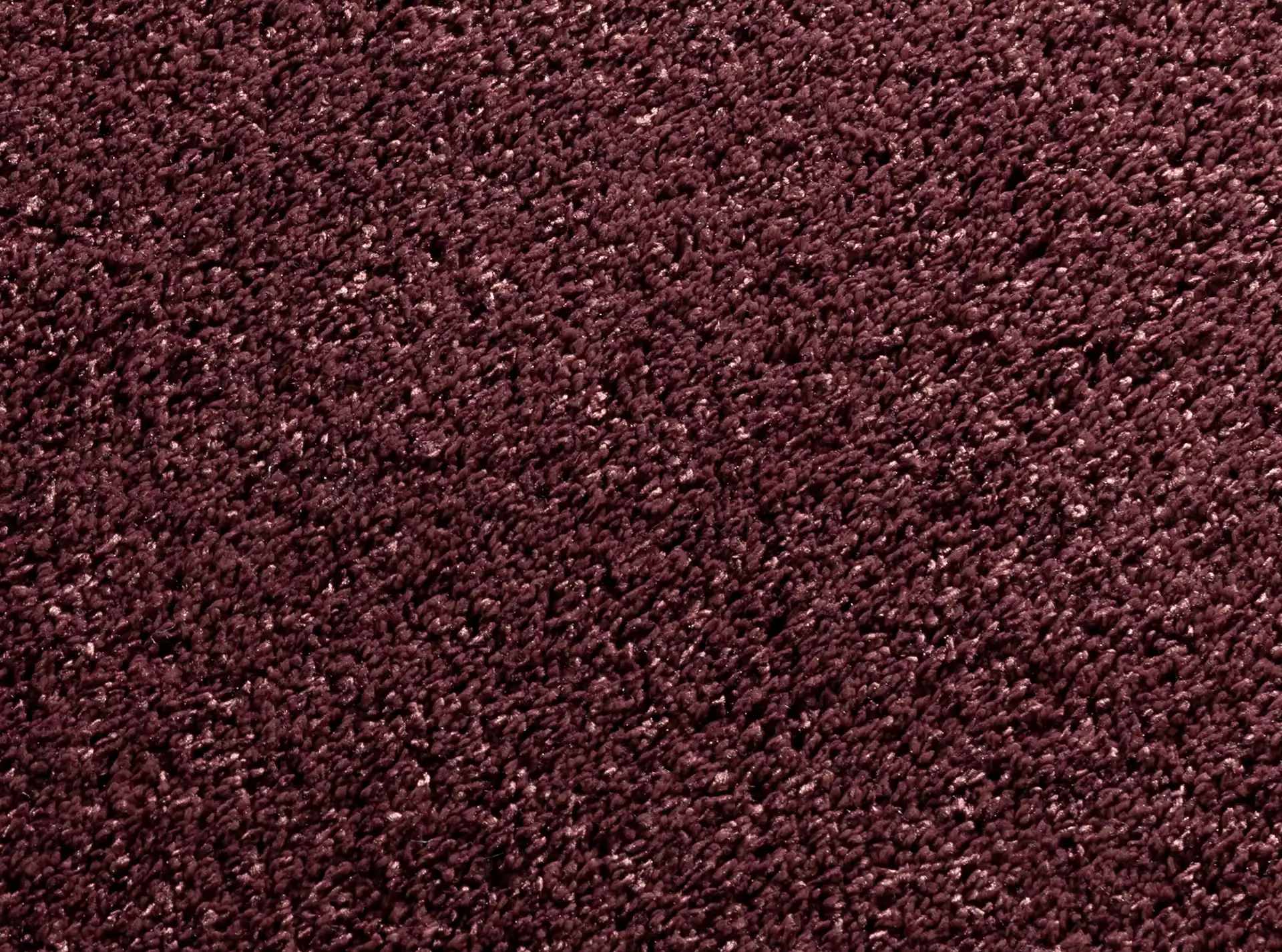 Wind 3743/481