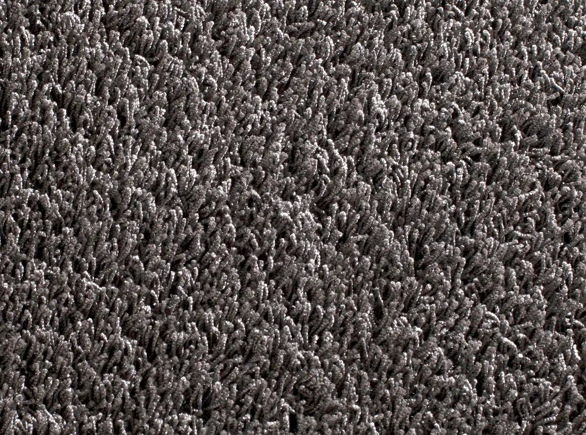 Curly SD 3788/494