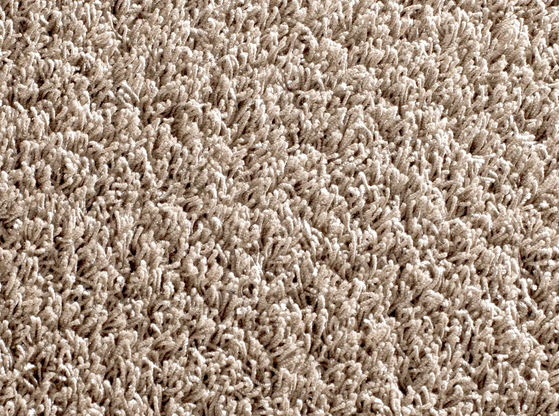 Curly SD 3788/429